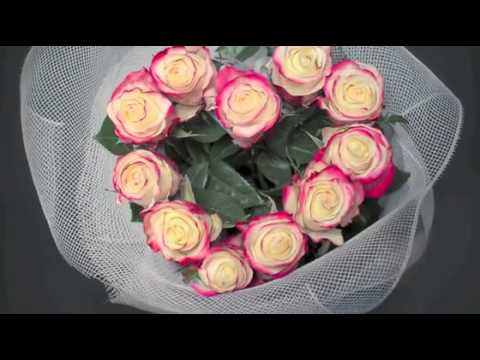 Boomstarter - Флористический Фиксатор