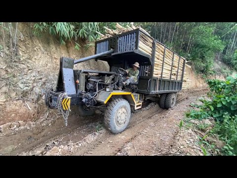 The timber truck is too strong, the journey is to carry timber in the forest