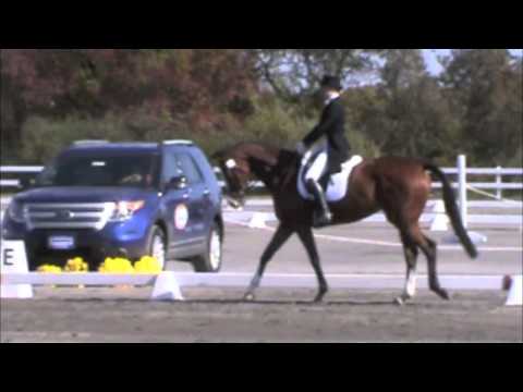 2013 Fair Hill CCI 3 Star