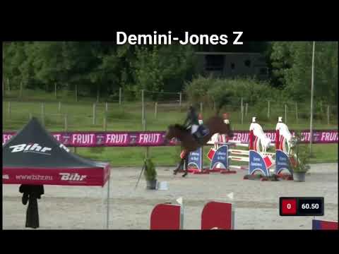 half sister Demini-Jones Z (v. Diamant de Semilly)