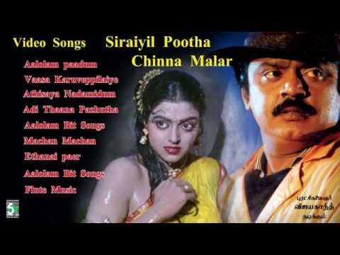 download lagu mp3 mp4 Siraiyil Pootha Chinna Malar Mp3 Songs, download lagu Siraiyil Pootha Chinna Malar Mp3 Songs gratis, unduh video klip Siraiyil Pootha Chinna Malar Mp3 Songs