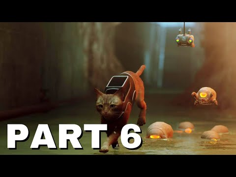 Stray PS5  || Walkthrough || Gameplay Part 6