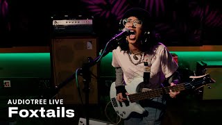 Cover art for Foxtails - paper tiger | Audiotree Live