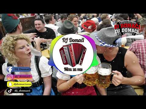 VESELJAŠKI MIX / DJ DOMAČI