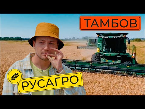 Едем разбираться в Русагро | На чем делает состояние крупнейший агрохолдинг России