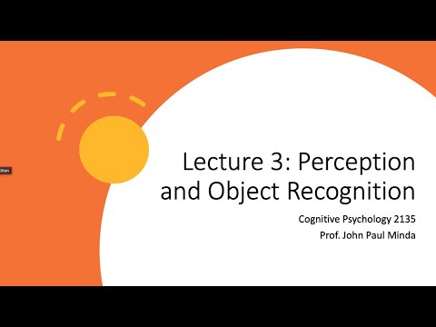 Cognitive Psychology (2135) Unit 3 lecture