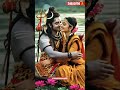 Shiv Parvati ️ Love Shortsfeed Shorts Trending Ytshorts Youtubeshorts Shortsfeed Shortvideo