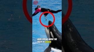 The Truth About &quot;Jessica Radcliffe&quot;