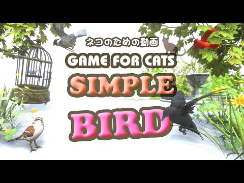 【猫用動画・鳥】GAME FOR CATS - SIMPLE - BIRD