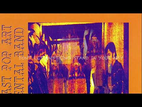 The West Coast Pop Art Experimental Band: Don't let anything stand in your way