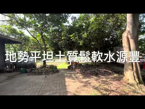通霄鎮-圳頭段農地出售 第1張共13張