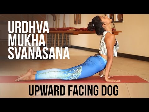 download lagu mp3 mp4 Urdhva Mukha Svanasana, download lagu Urdhva Mukha Svanasana gratis, unduh video klip Urdhva Mukha Svanasana