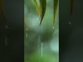 Beautiful Relaxing Piano Music With Rain Sounds You Me