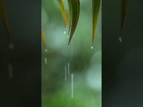 Beautiful Relaxing Piano Music with Rain Sounds 😴 You & Me