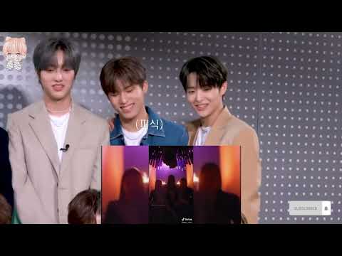 Treasure Reaction To Blackpink Tiktok Edit