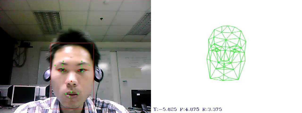 Head Pose Estimation Using Motion Subspace Matching on GPU
