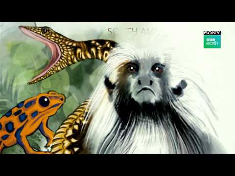 Sneak Peek : Seven Worlds One Planet | Premieres 20th Jan at 9 PM| English | Sony BBC Earth