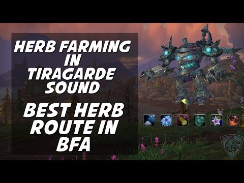 Best Variety Herb Route: WOW BFA
