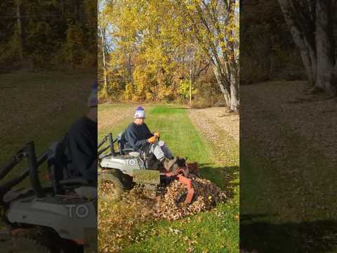 TOP 3 Methods For Leaf Cleanup! #diy #howto #tips #leafcleanup #grassmastermatt #shorts