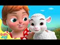 Mary Had A Little Lamb More Nursery Rhymes Emma And Joey Beep Beep