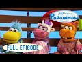 Pajanimals Try Try Again No Bath For Me Jim Henson Family Hub Kids Cartoon