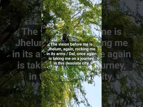 Lyrics 🥺🤍#ytshorts #shorts #kashmir #feel #peace #girl #amazing #hearttouching #reels #yt #status