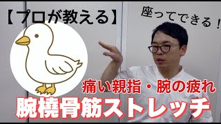 [Stretching for Arms and Finger Pain] Professionals Teach You How to Do It Sitting Down! 3 Brach...