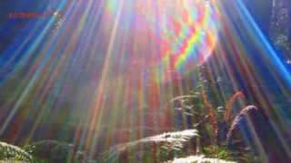 MAGGIE REILLY - TO FRANCE(EXTENDED)