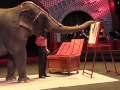 Ringling Bros And Barnum Bailey Circus Painting Elephant Brooklyn ConeyIsland Funny