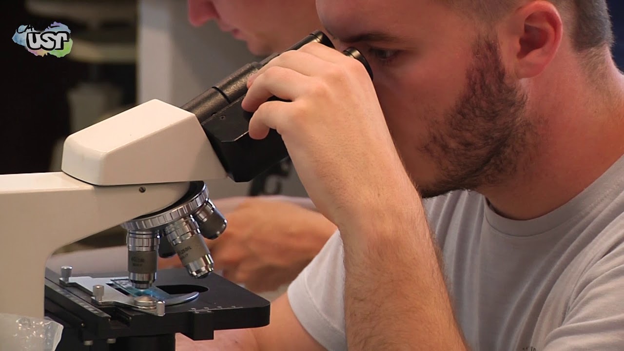 Aula 8 (Prática) Diagnose de doenças de plantas I (1/2)