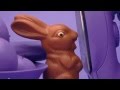 Quasi "Chocolate Rabbit"