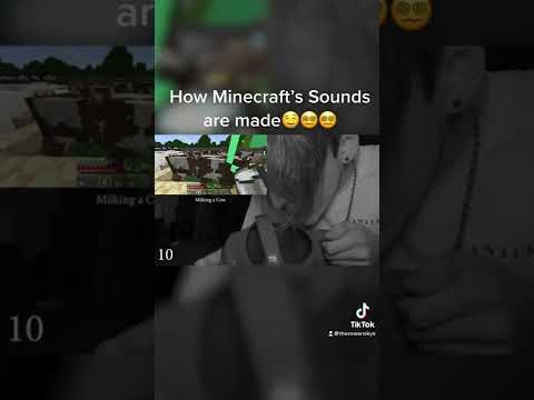 How Minecraft’s Sounds Are Made!?🤤😵‍💫😵‍💫