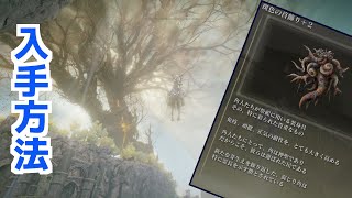 【ELDEN RING】斑色の首飾り+2の入手方法【エルデンリング】