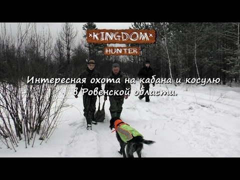 Интересная охота на кабана и косулю в Ровенской области