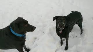 Nolie, Buddy & Ethel...the kids on the block