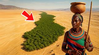아프리카, 나무 한 그루도 심지 않고 죽은 사막을 푸른 숲으로 바꾸다!