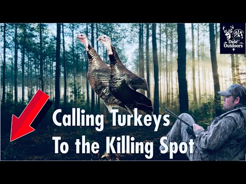 How to CALL TURKEYS into a Killing Spot