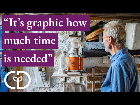 Rye from Seed to Bread