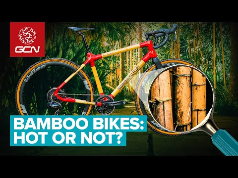 Are Bamboo Bikes Actually Any Good?