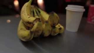 Mega Bog ~ "Aurora / 99" (OFFICIAL VIDEO)