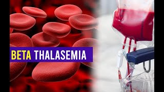 Beta Thalassemia - Clear Explain