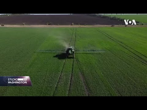Ukrajinski farmeri: Rad u polju poput ruskog ruleta