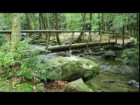 Log bridge leading to campsite 18