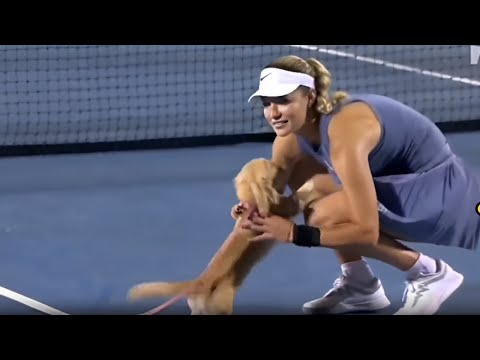 Anna Kalinskaya’s dog ran on court after her win over Clara Tauson