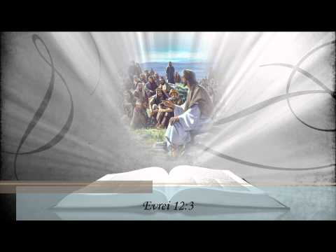 Fratii Sfara - Ne stingem