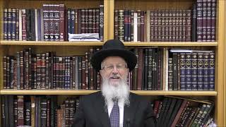 הגאון הרב אברהם יוסף שליט"א איך אדם ספרדי צריך להתנהג שהוא מתפלל במניין של אשכנזי בחג הפורים (הרב אברהם יוסף) - התמונה מוצגת ישירות מתוך אתר האינטרנט יוטיוב. זכויות היוצרים בתמונה שייכות ליוצרה. קישור קרדיט למקור התוכן נמצא בתוך דף הסרטון