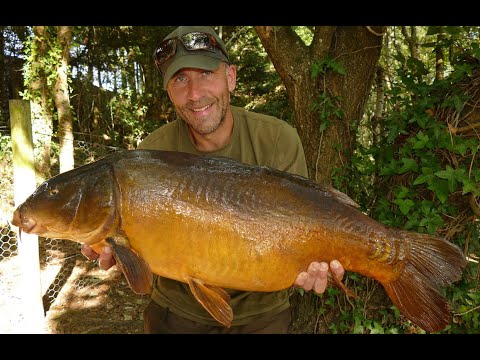 Roach Pit guest session