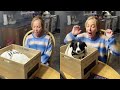 MOST EMOTIONAL PUPPY SURPRISE COMPILATION! Tears of Joy.