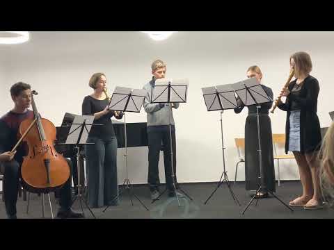 J.Ch. Schickhardt - Concerto d moll - Allegro, Soubor Frikulín