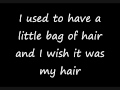 Mystery Jets - Little Bag of Hair lyrics 